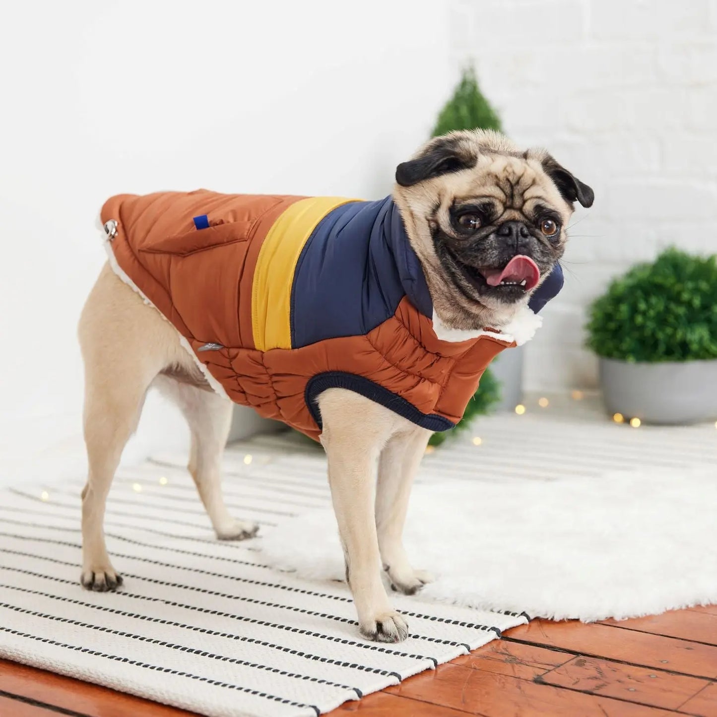 GF Pet Retro Puffer Hazel Dog Jacket w/ Warm Sherpa GF Pet