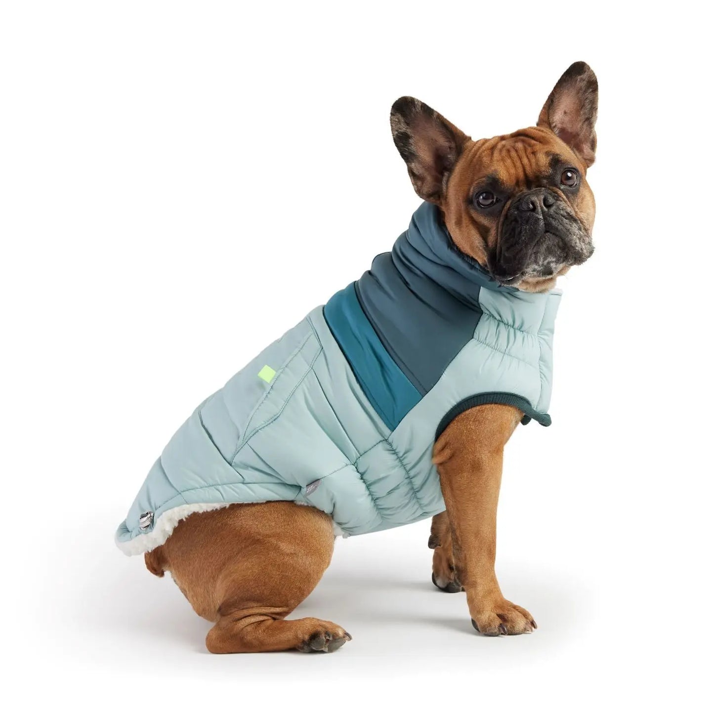 GF Pet Retro Puffer Light Blue Dog Jacket w/ Warm Sherpa GF Pet