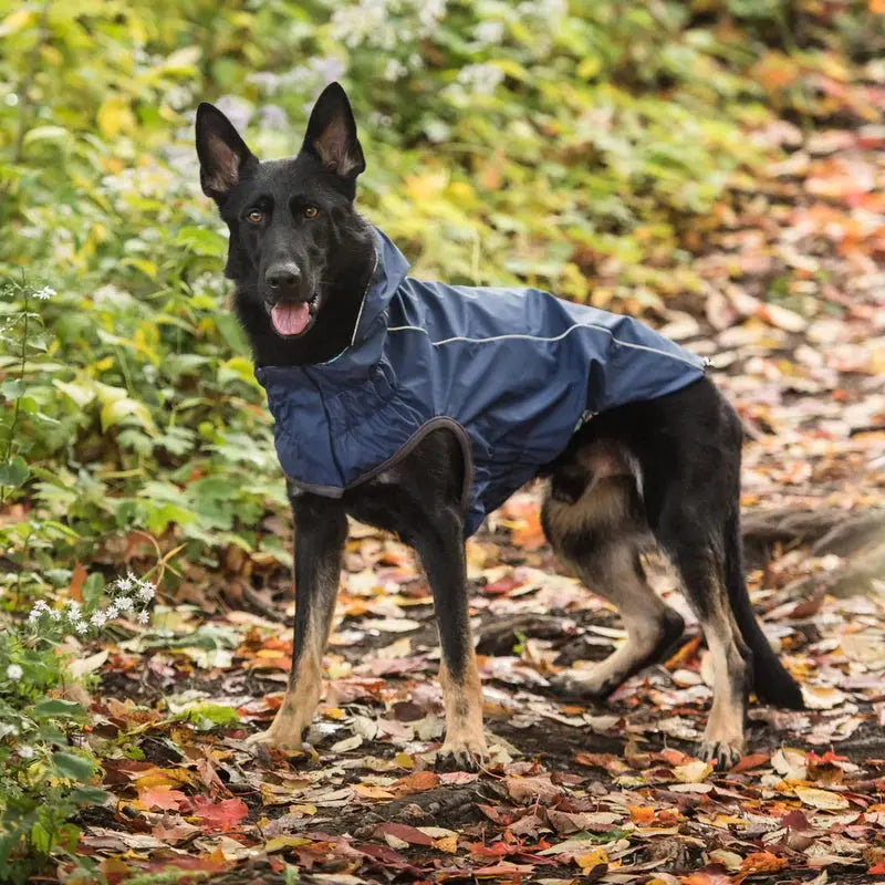 GF Pet Reversible Dog Raincoat GF Pet