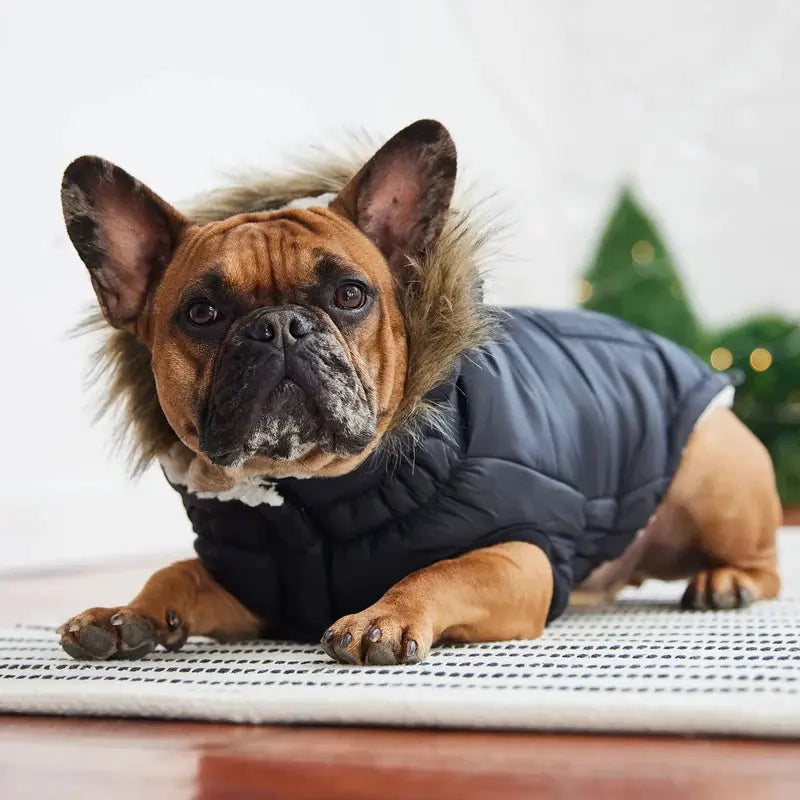 GF Pet Urban Parka Winter Dog Coat GF Pet