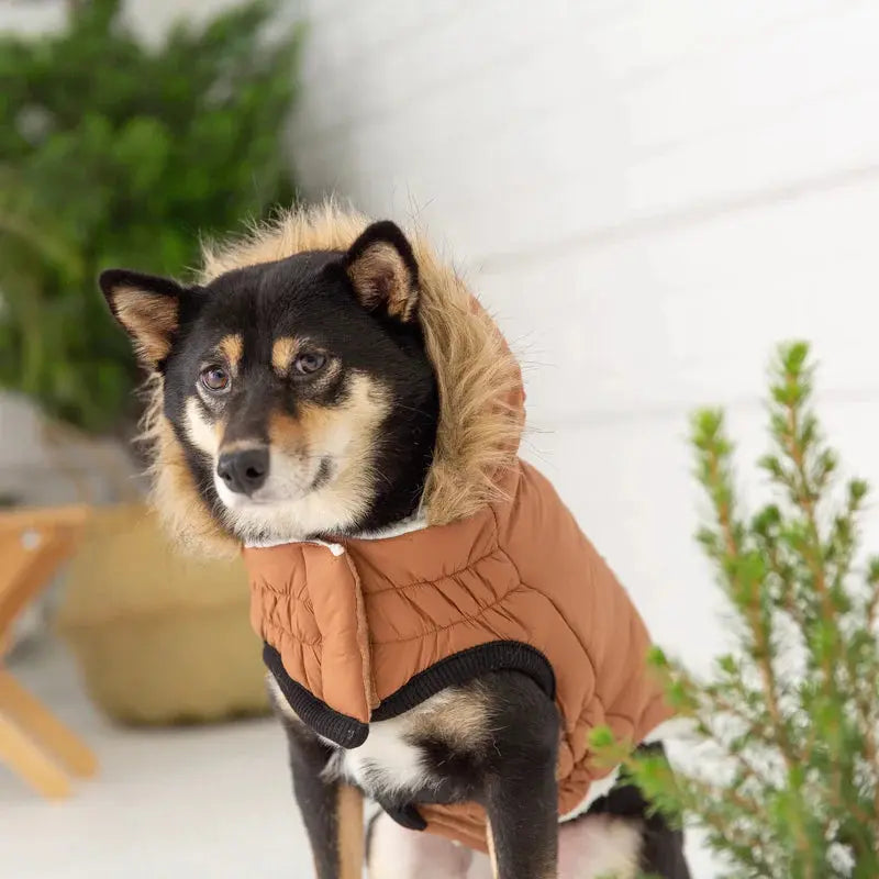 GF Pet Urban Parka Winter Dog Coat GF Pet