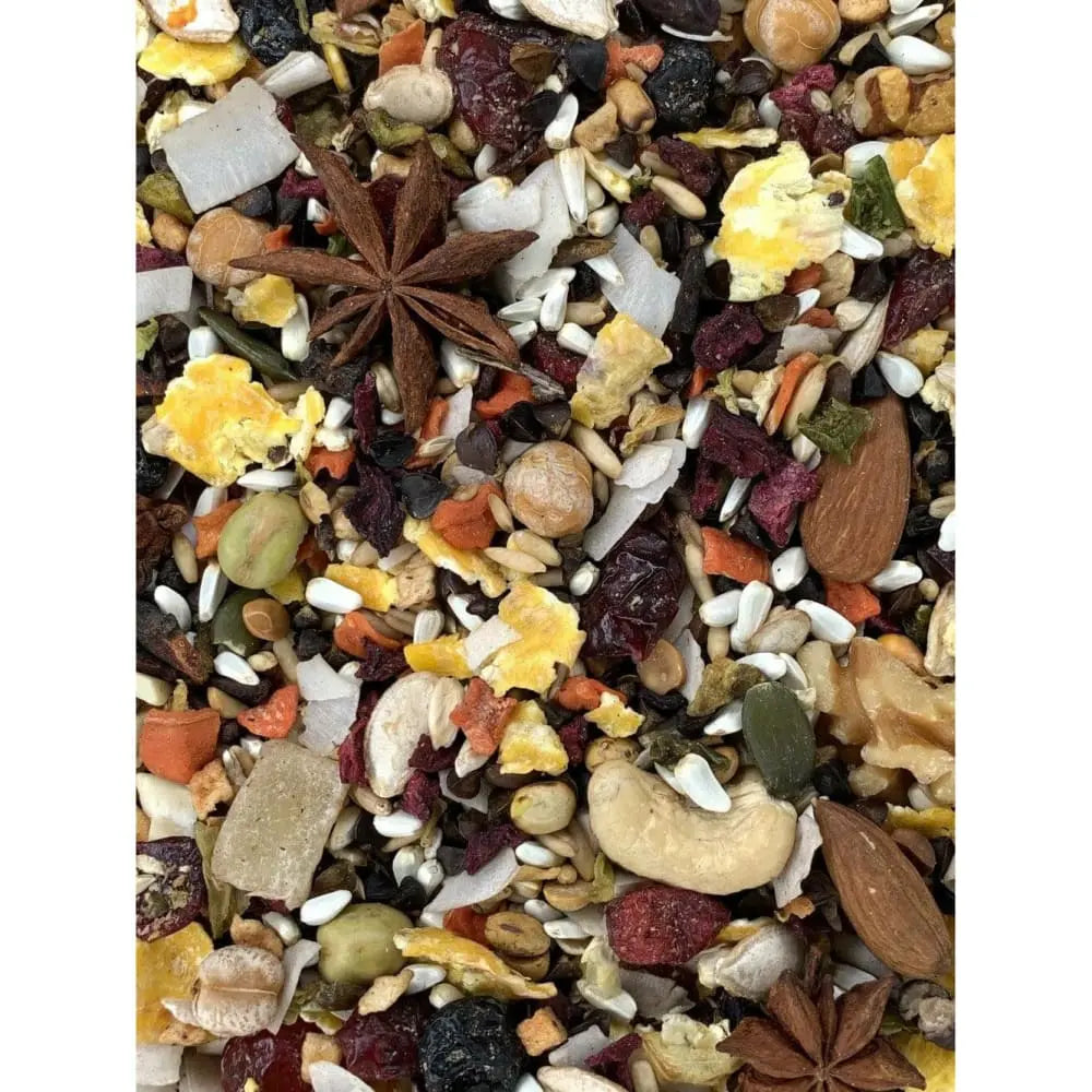 Goldenfeast Central American Blend Bird Food Higgins