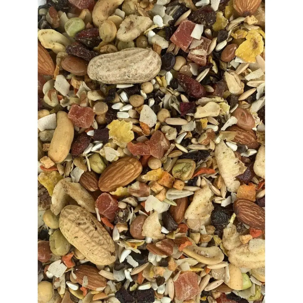 Goldenfeast Paradise Treat Mix Bird Food Higgins