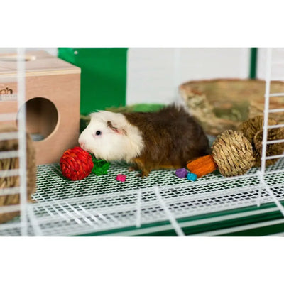 Grassy Nibblers Activity Ball Prevue Pet