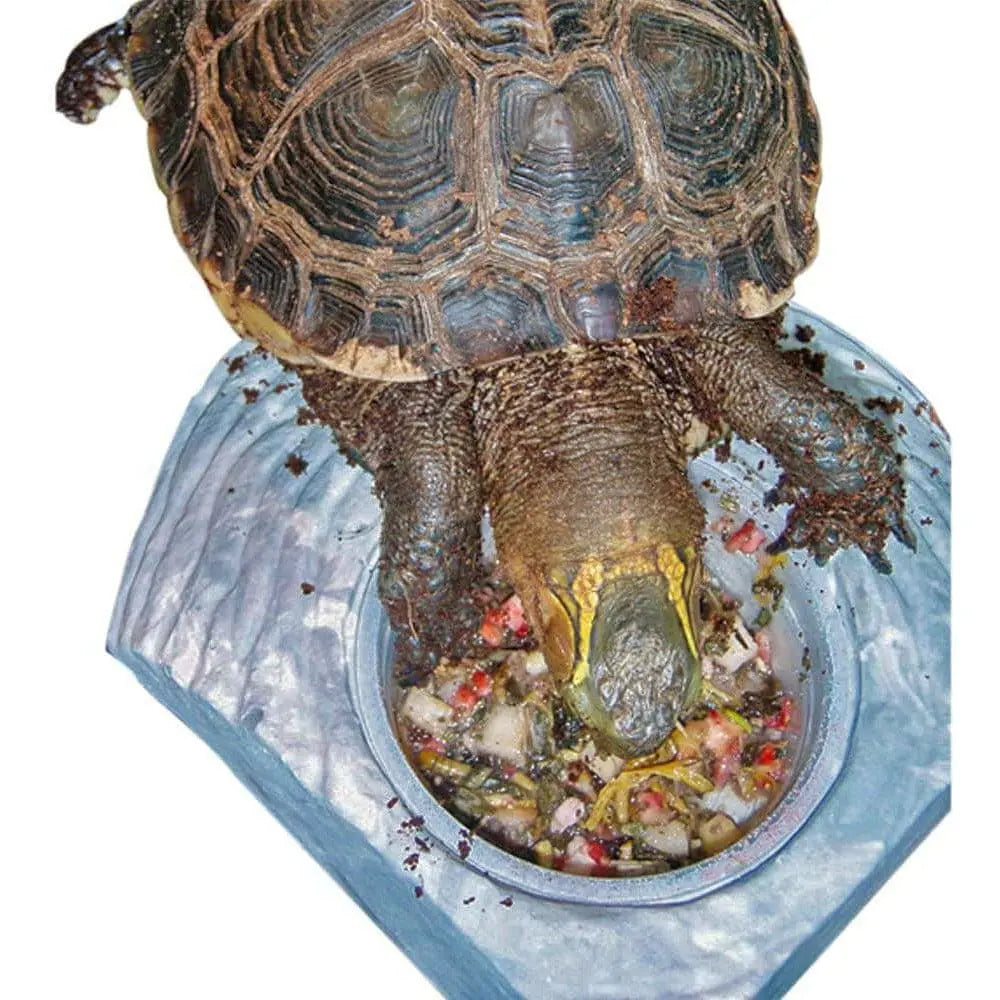 Healthy Herp Box Turtle Food Instant Meal Healthy Herp