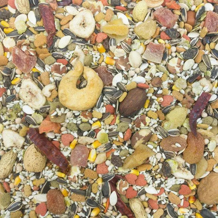 Higgins Sunburst Gourmet Blend Macaw Parrot Bird Food Higgins