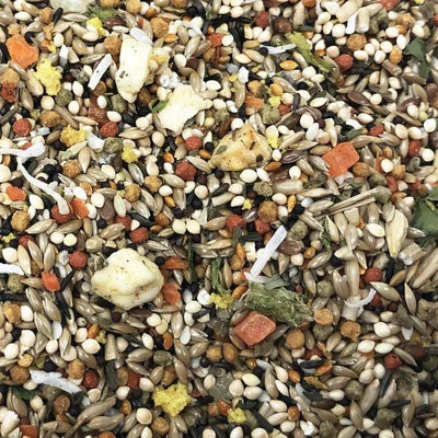 Higgins Sunburst Gourmet Canary & Finch Bird Food Higgins