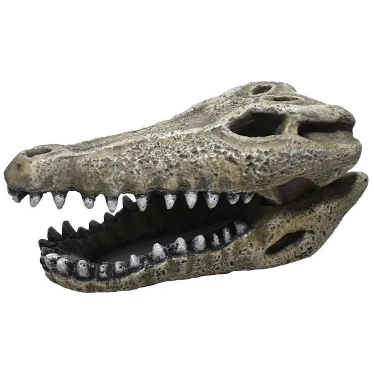 Hikari USA Gator Skull Resin Ornament Hikari USA