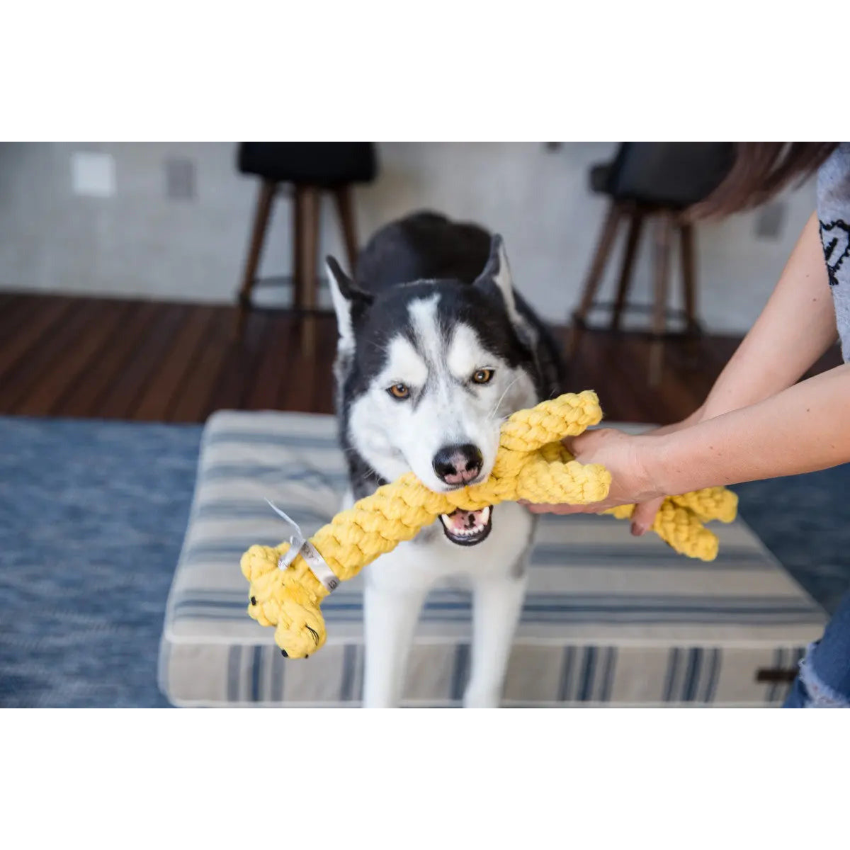 Jax & Bones Jerry the Giraffe Dog Rope Toy Jax & Bones