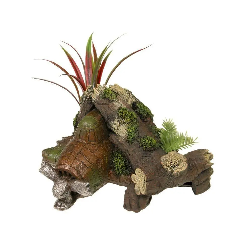 Jungle Plant Wreck with Plants Exotic Environments Aquarium Ornament Blue Ribbon Pet