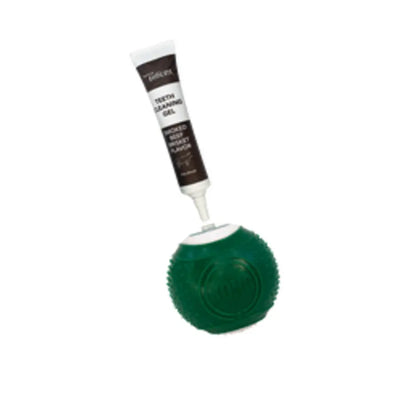 KONG Dental Ball w/Tropiclean Enticer Teeth Cleaning Gel Kong