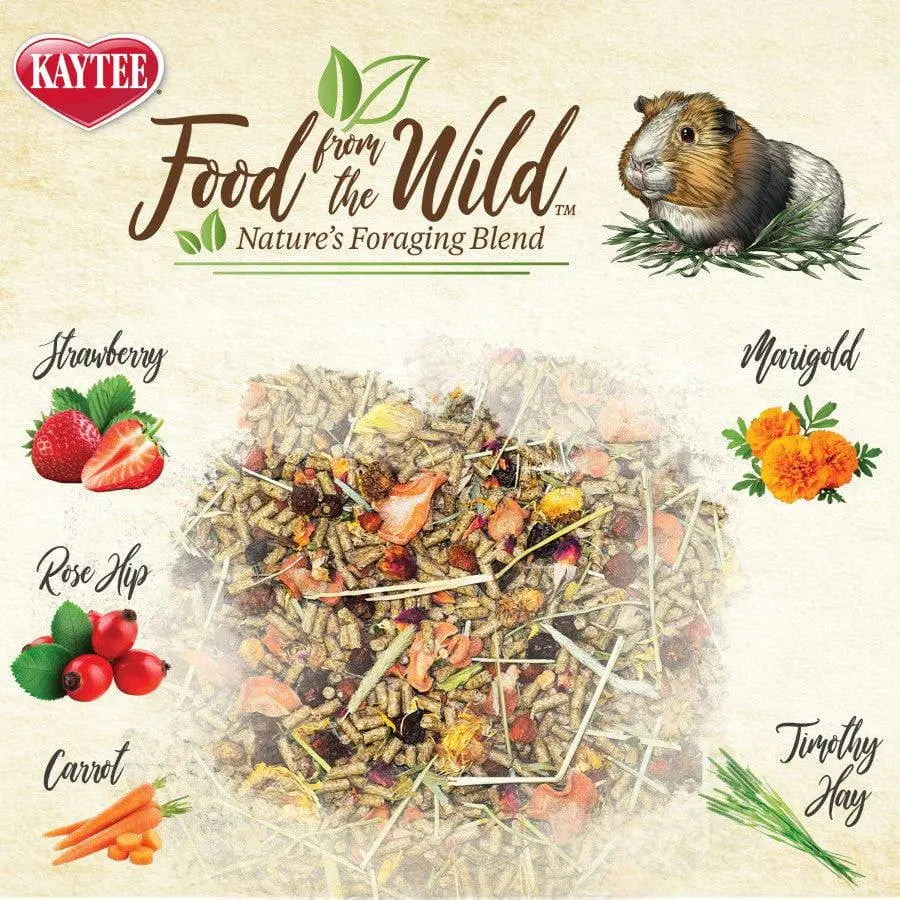 Kaytee Food From The Wild Guinea Pig 4 lb Kaytee® CPD