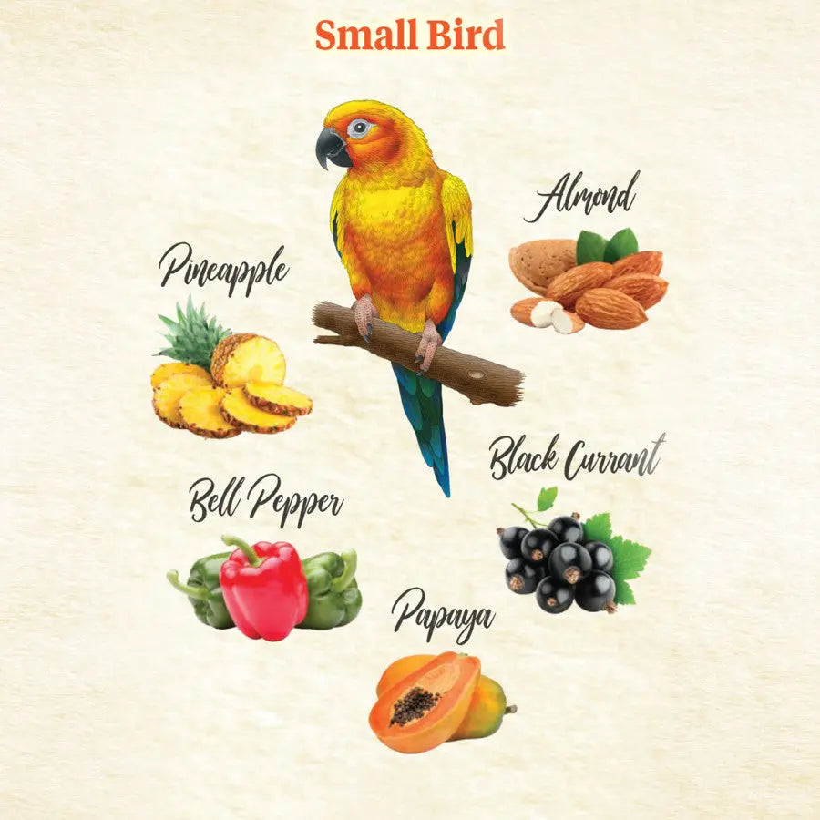 Kaytee Food From the Wild Natural Snack Small Pet Bird Kaytee