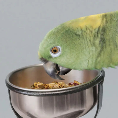 Kaytee Food from the Wild Natural Snack Med/Lrg Pet Bird Kaytee