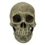 Komodo Full Human Skull Reptile Hideout Full Human Skull Gray One Size Komodo