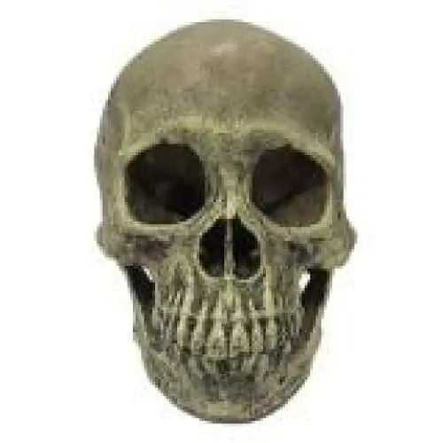 Komodo Full Human Skull Reptile Hideout Full Human Skull Gray One Size Komodo