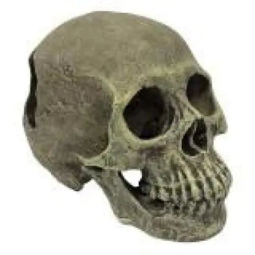 Komodo Full Human Skull Reptile Hideout Full Human Skull Gray One Size Komodo