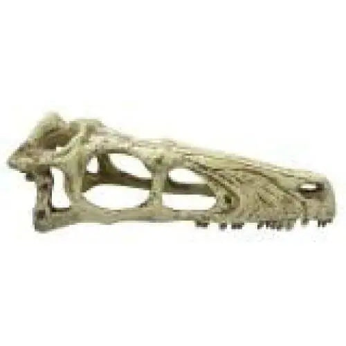 Komodo Raptor Skull Reptile Hideout Raptor Skull Tan 1ea Komodo