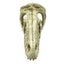 Komodo Raptor Skull Reptile Hideout Raptor Skull Tan 1ea Komodo