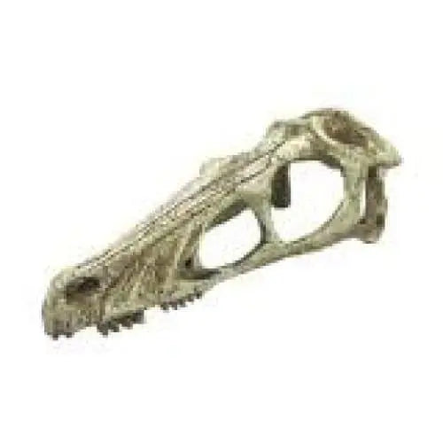 Komodo Raptor Skull Reptile Hideout Raptor Skull Tan 1ea Komodo