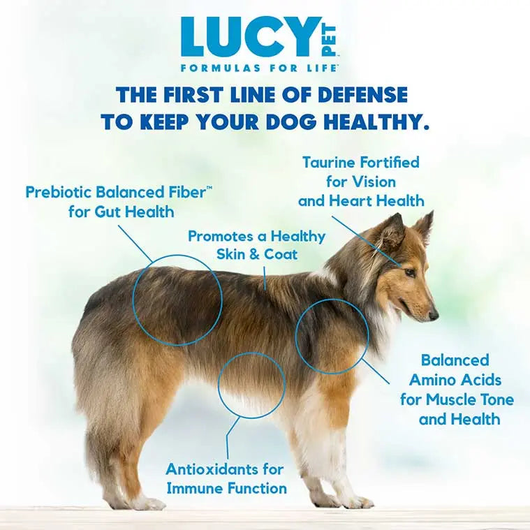 Lucy Pet Products Formula for Life L.I.D. Dry Dog Food Chicken, Brown Rice & Pumpkin Lucy