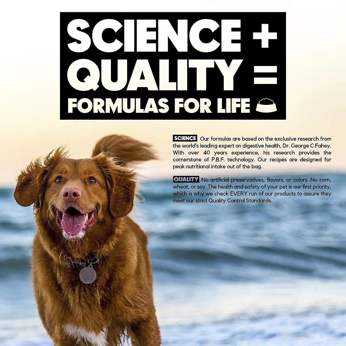 Lucy Pet Products Formula for Life L.I.D. Dry Dog Food Chicken, Brown Rice & Pumpkin Lucy