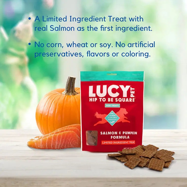 Lucy Pet Products Hip to Be Square Limited Ingredient Dog Treats Lucy Pet Products