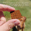 Lucy Pet Products Hip to Be Square Limited Ingredient Dog Treats Lucy Pet Products