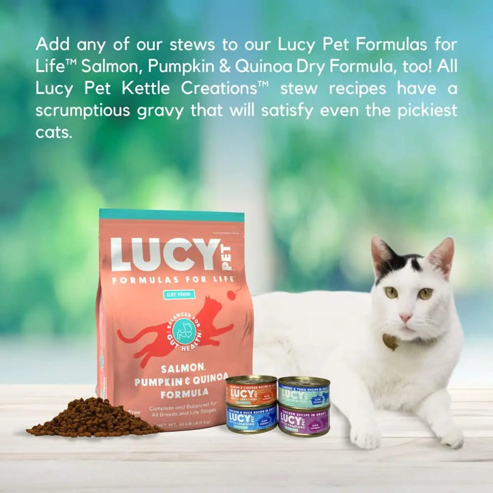 Lucy Pet Products Kettle Creations Adult Wet Cat Food 12ea/2.75 oz Lucy Pet Products