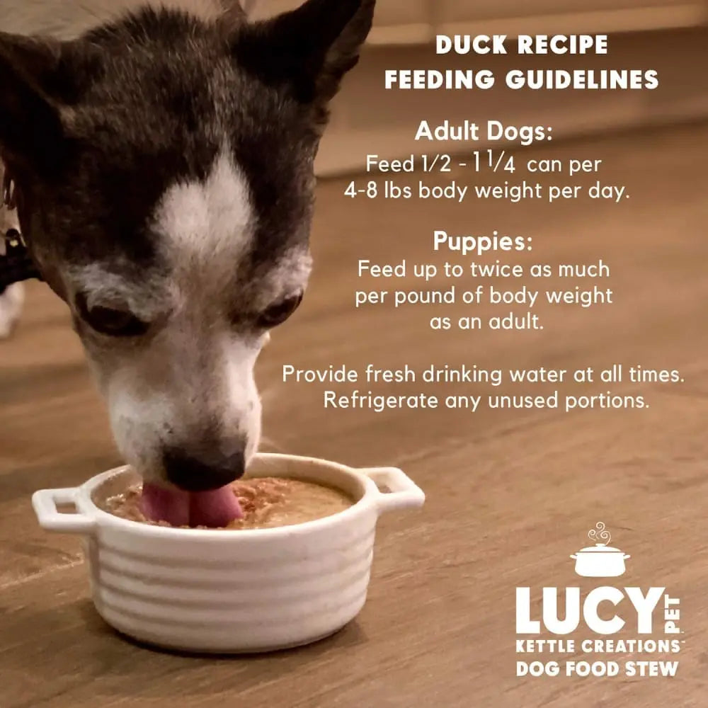 Lucy Pet Products Kettle Creations Recipe in Gravy Wet Dog Food 12ea/12.5 oz Lucy Pet Products