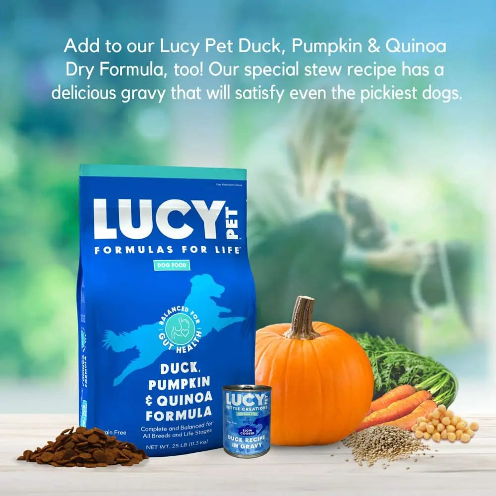 Lucy Pet Products Kettle Creations Recipe in Gravy Wet Dog Food 12ea/12.5 oz Lucy Pet Products