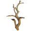 Lugartis Ghost Wood Reptile Decor Lugartis