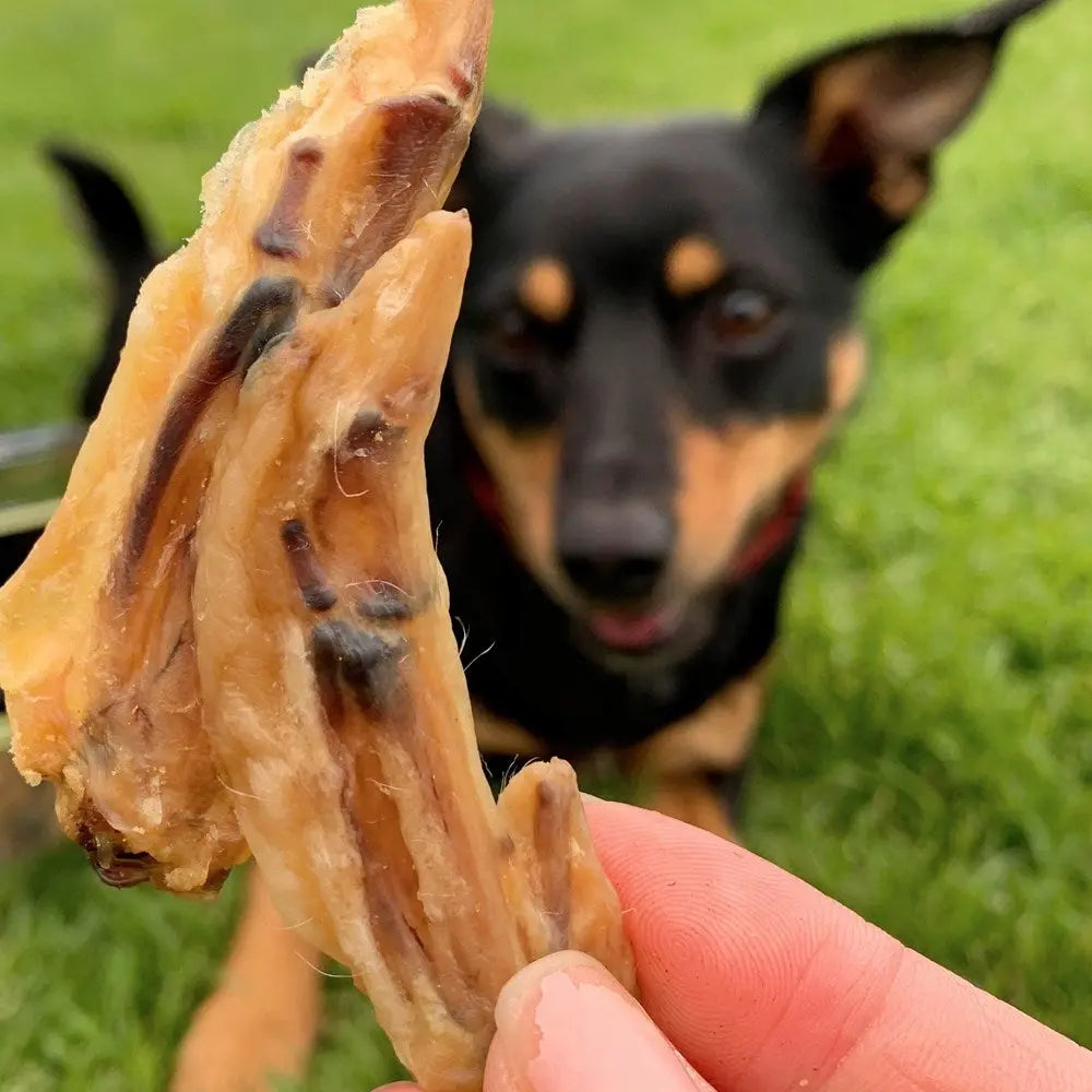 Lulu's Kitchen Flap Ya Wings Chicken Wing Bites Dog Treats Lulu's Kitchen