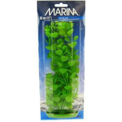 Marina Aquascaper Moneywort Plant Marina