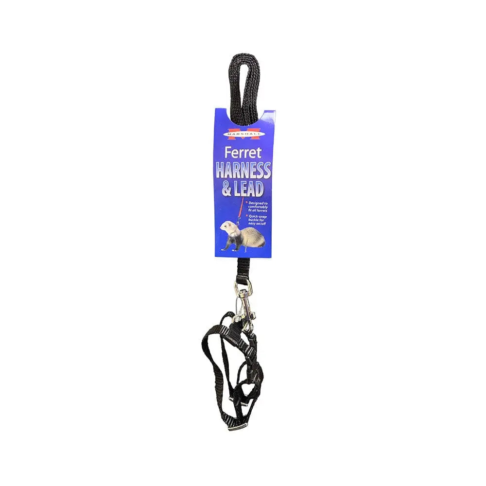 Marshall® Harness & Lead Set for Ferret Black Marshall® Pet