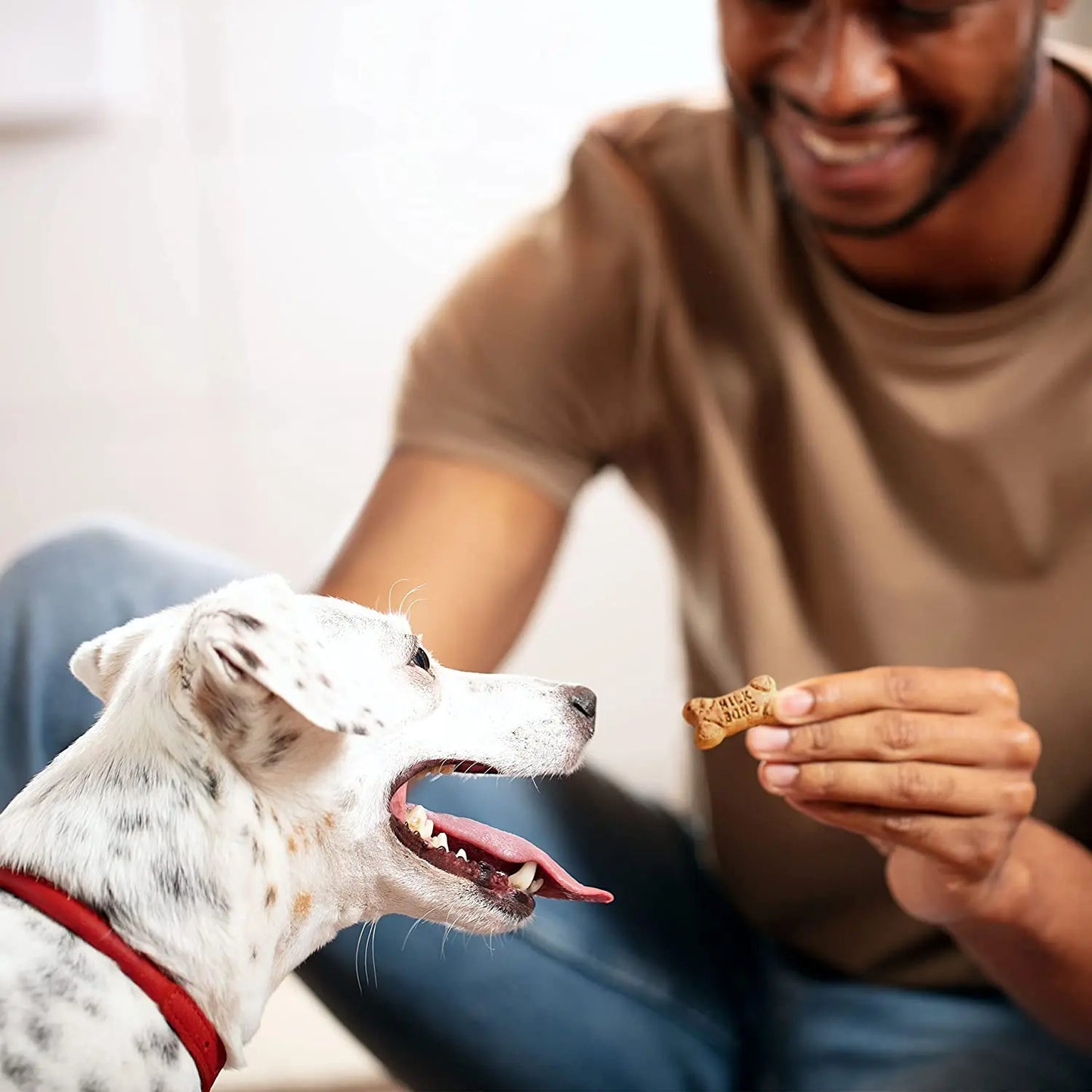 Milk-Bone Flavor Snacks Mini Dog Treats 1ea/Mini, 36 oz Milk-Bone