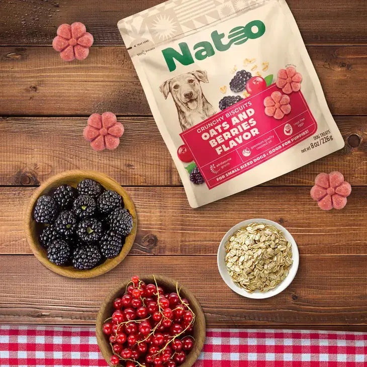 Natoo Biscuits Oats and Berries Flavor Dog Recipe 8-oz Talis Us