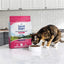 Natural Balance Pet Foods L.I.D Indoor Salmon & Chickpea Formula Cat Food Natural Balance CPD