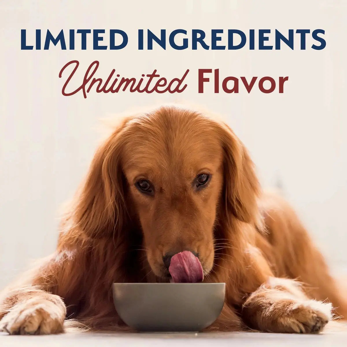 Natural Balance Pet Foods L.I.D. Small Breed Bites Beef & Brown Rice Dry Dog Food Natural Balance