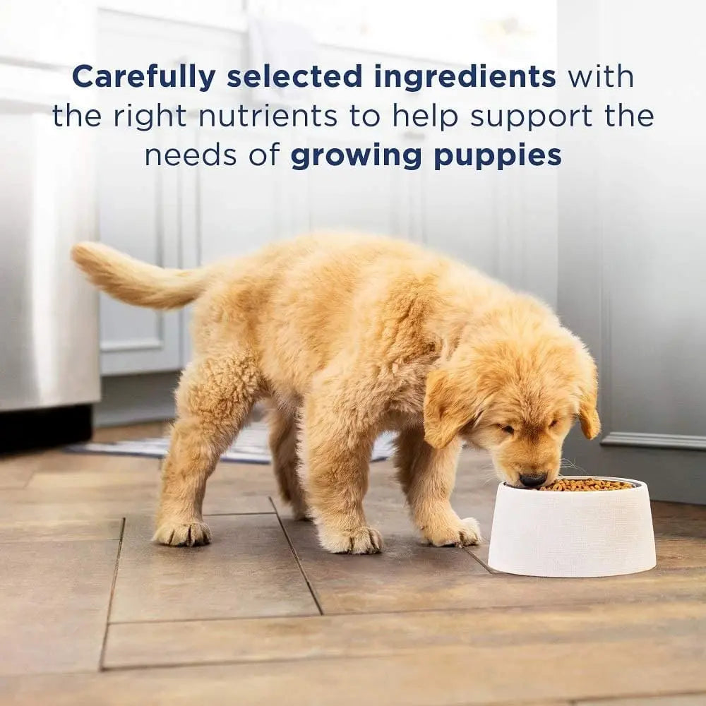 Natural Balance Pet Foods LID Chicken and Brown Rice Puppy Dry Dog Food Natural Balance CPD