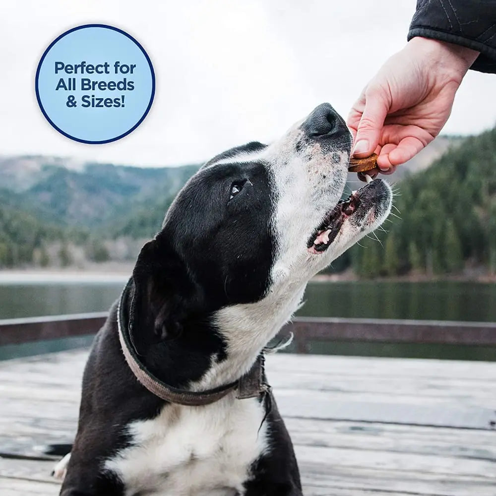 Natural Balance Pet Foods LID Mini Rewards Soft & Chewy Salmon Dog Treats Natural Balance CPD