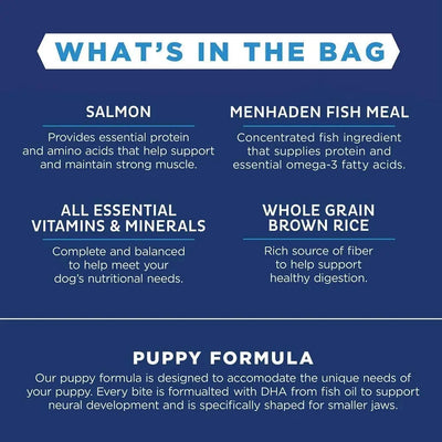 Natural Balance Pet Foods LID Salmon and Brown Rice Puppy Dry Dog Food Natural Balance CPD