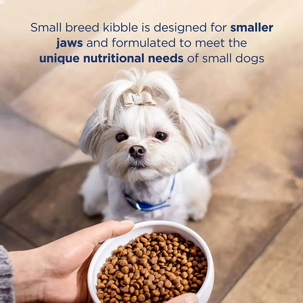 Natural Balance Pet Foods LID Salmon and Sweet Potato Small Breed Natural Balance CPD