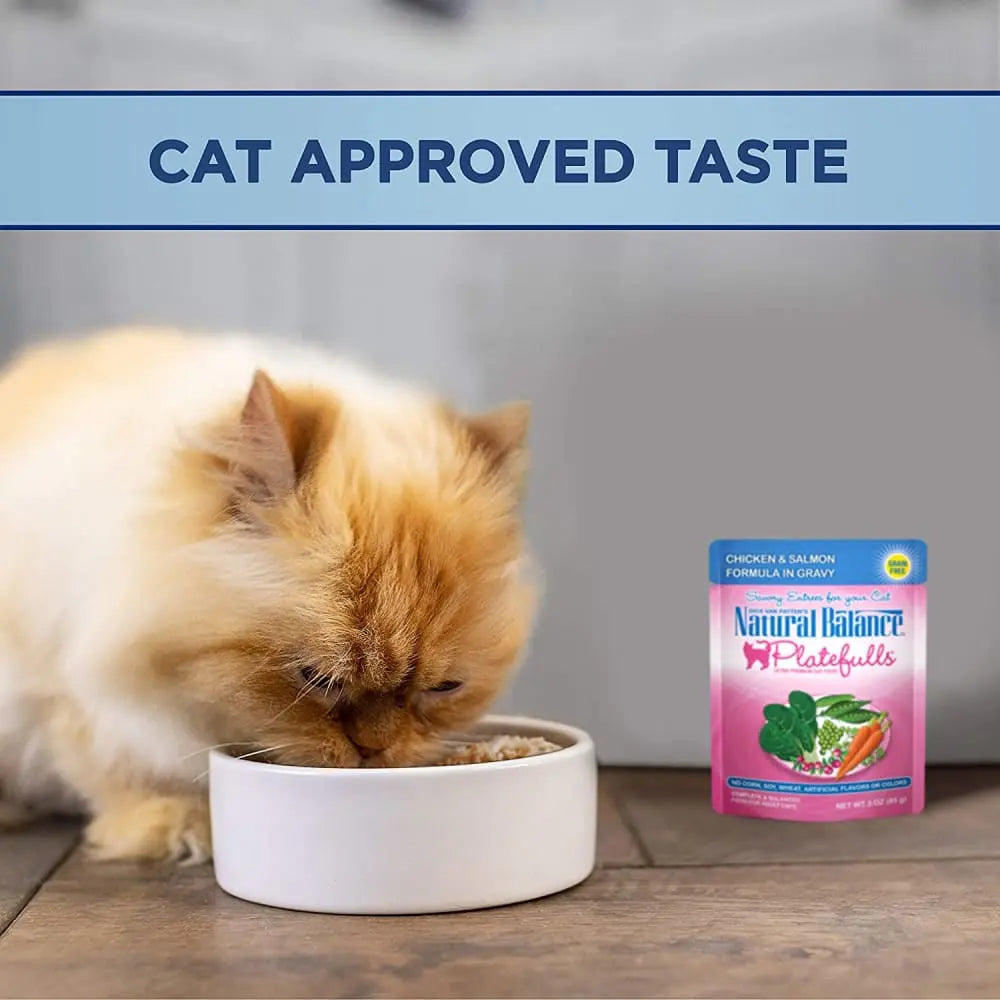 Natural Balance Pet Foods Platefulls Chicken & Salmon Formula in Gravy Cat Wet Food 3 oz, 24 pk Natural Balance CPD