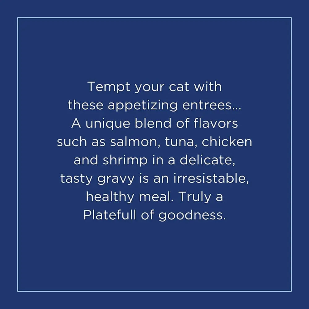 Natural Balance Pet Foods Platefulls Indoor Turkey Salmon & Chicken in Gravy Cat Wet Food 3 oz, 24 Natural Balance CPD