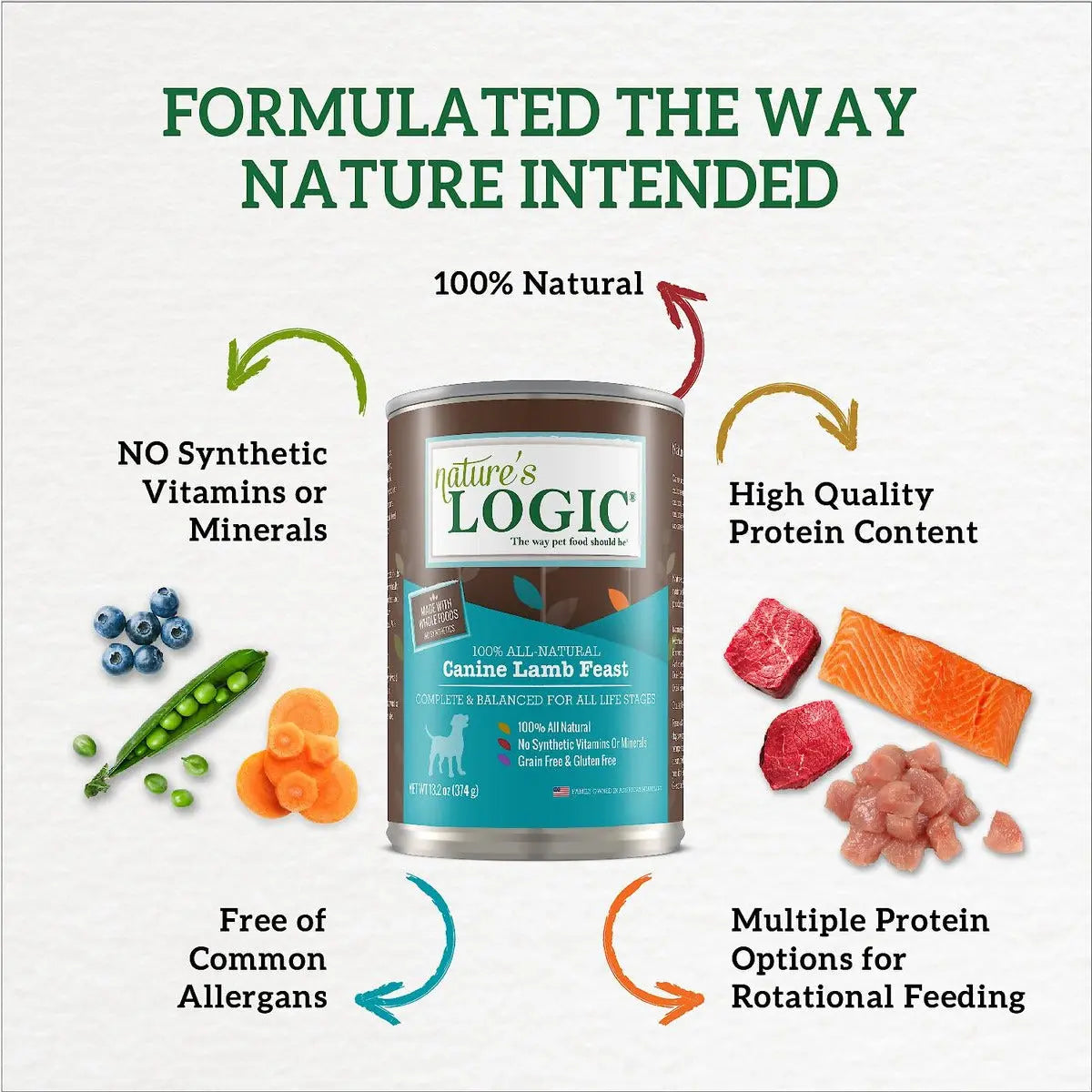 Nature's Logic Canine Beef Feast Grain-Free Canned Dog Food 13.2oz Case of 12 Nature's Logic