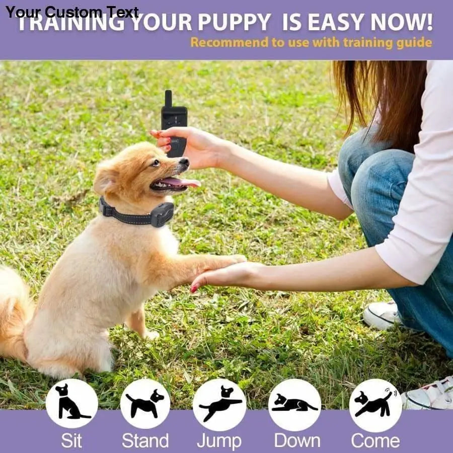 New 2019] Dog Shock Training Collar with Remote Talis Us