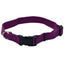 New Earth Soy Soy Adjustable Dog Collar New Earth Soy CPD