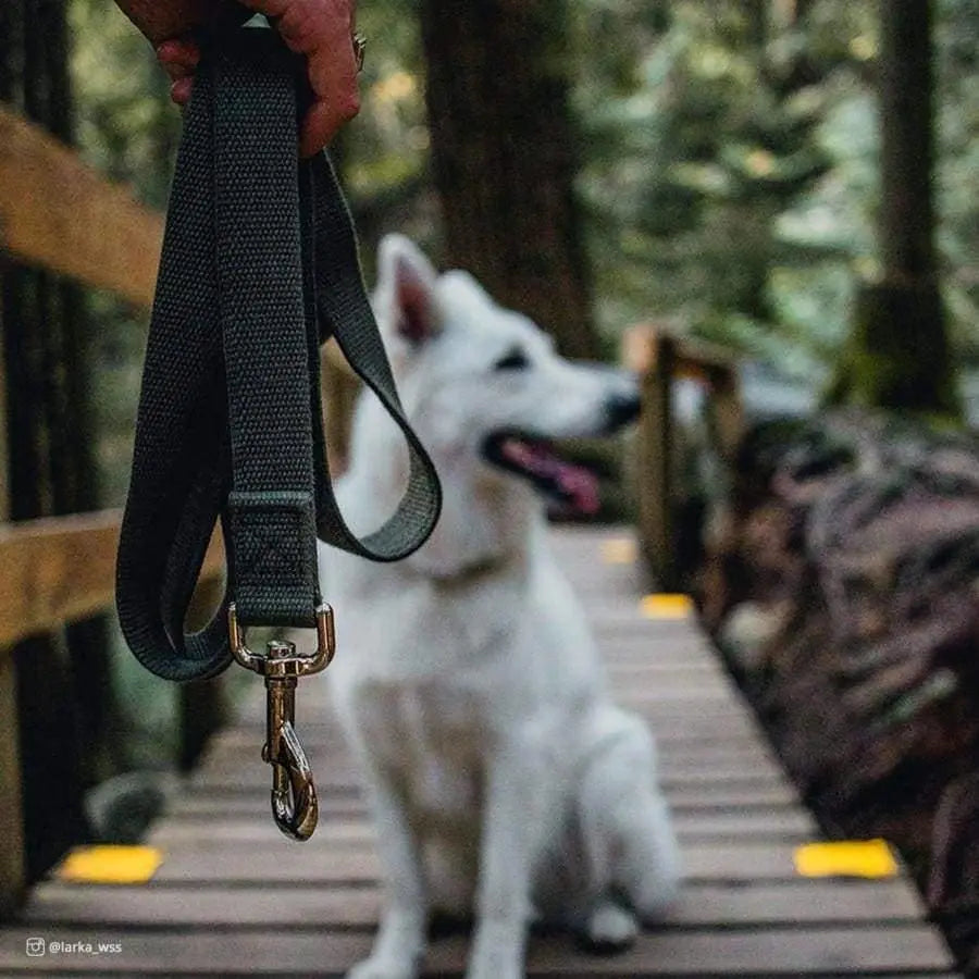 New Earth Soy Soy Dog Leash New Earth Soy CPD