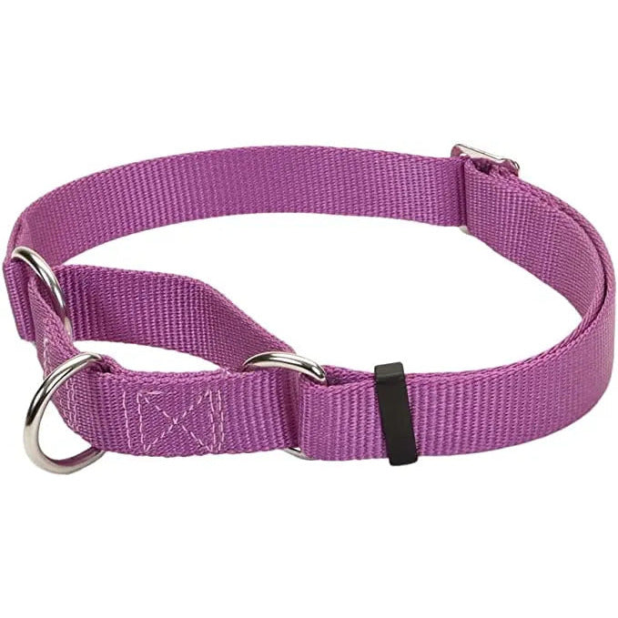 No! Slip® Martingale Adjustable Dog Collar Coastal Pet